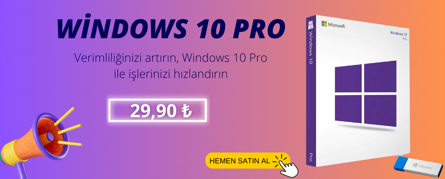 windows10 pro (11)
